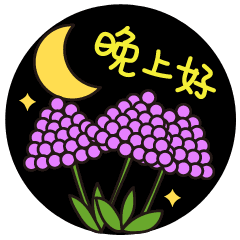 晚上好问候语