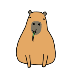 240_240gif 动态图 动图