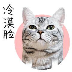 无牌上路为躲威海交警 高速逆行还弃车钻树林