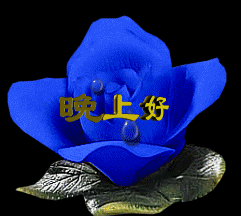 241_216gif 动态图 动图