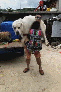 244_371竖版 竖屏gif 动态图 动图