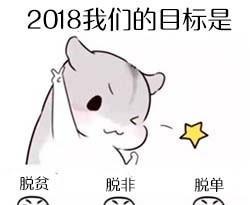 2018年來了,先定一個小目標吧!倉鼠鬥圖表情包搞笑圖片