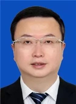 罗强简历