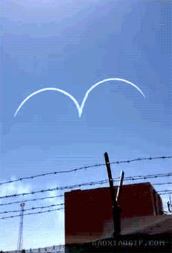 250_367竖版 竖屏gif 动态图 动图