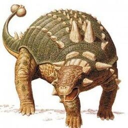 包头龙属lambe1910是甲龙科下的一个属又名优头甲龙