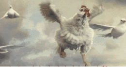 知道原因后,真是让人郁闷【蓝云之鹰】