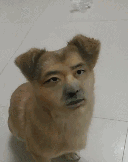 261_330竖版 竖屏gif 动态图 动图