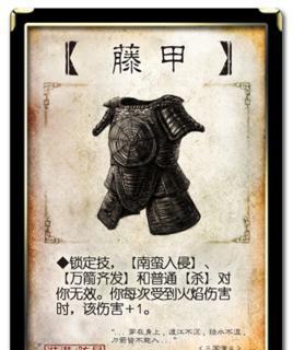 藤甲衣防御性那么高,为什么诸葛亮不让自己的军队装备?