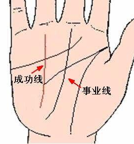 事业线事业线又名冲卦纹(土,水形掌才称之),冲天纹,玉柱纹,天喜纹文笔