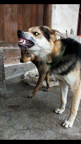 270_480竖版 竖屏gif 动态图 动图