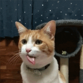 280_279gif 动态图 动图