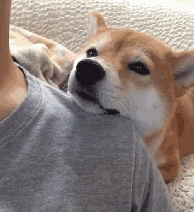 这撒娇的哼唧声,嗲的让人受不了.这养的大概是个小情人吧!