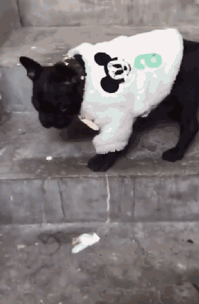 280_428竖版 竖屏gif 动态图 动图