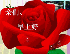 早上好动态情图片大全早安问候语