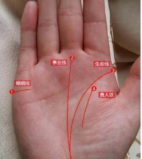 女人有此事业线的手相, 活到老, 劳碌到老, 一生为事业奔波劳碌