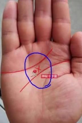 在掌心智慧线和感情线的命运线上有一个"十"字纹,称灵感线或第六