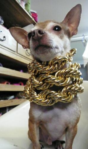 国外土豪宠物炫富更有新高度,王思聪狗狗简直完败!