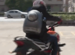 铲屎官骑摩托车带猫咪回家过年,把猫咪这样背着,真暖心