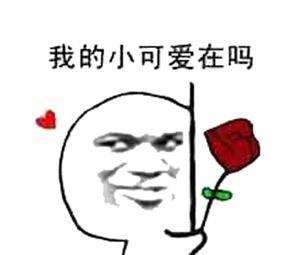 撩妹专用表情包快上车