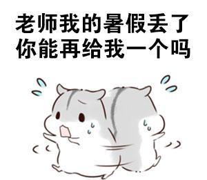 斗图包暑假怎么可以过得这么快