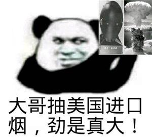 大哥抽烟套图表情包