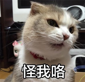 搞笑猫猫表情