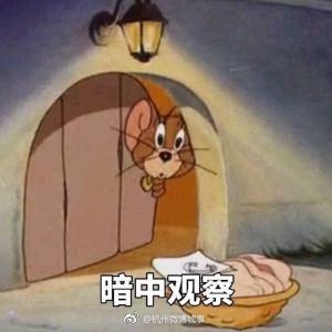 姑娘搬进来第二个月发现鼠患严重 半夜经常被吓醒[衰]