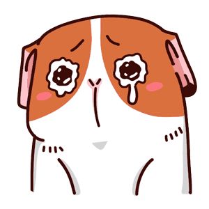 厉害了镇雄人最爱吃的大洋芋亮相人民大会堂