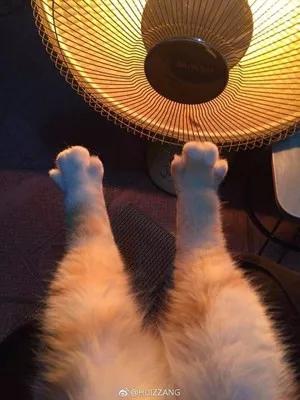 潮州人准备告别冻手冻脚的天气