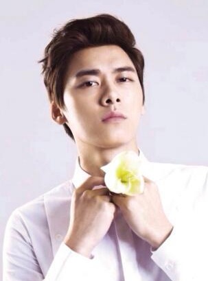 2017中国最帅的男明星排行榜