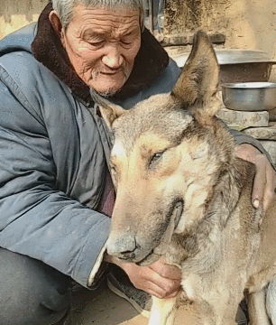 306_360gif 动态图 动图