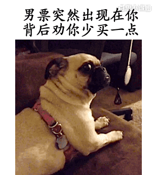 说出来你可能不信,我养了一个人|弹棉花|狗|杀气_新浪新闻