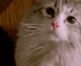 房东可能又要涨房租,而且还涨30%!