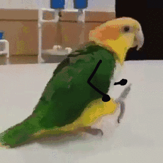 青蛙|母亲|游戏_新浪新闻