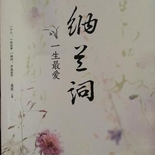 有一种极致的向往叫做纳兰词!