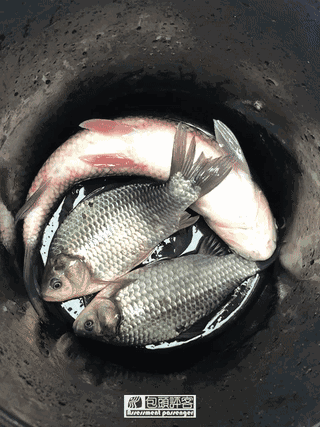 每到三月就爆满的黄河边小鱼馆原来是为了感动包头的好人王三