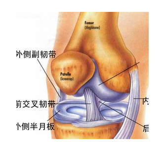 千萬要小心,治療半月板損傷不能盲目!用這些方法讓你遠離它