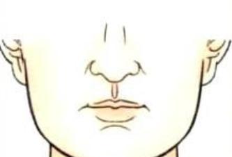 人中窄如一条线的,是清贫之人;7,人中高厚人中高突并且肉厚,主其人