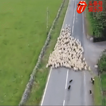 340_339gif 动态图 动图