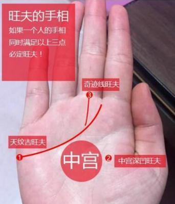 成功线,说明事业运势会非常好,此线对丈夫的帮助最大,有很强的旺夫运