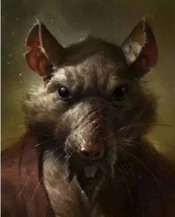 具有高繁殖能力的老鼠会在没有天敌的干扰下迅速扩充大军.