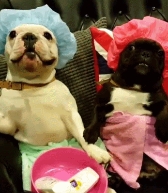 347_398gif 动态图 动图