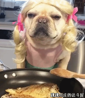 347_398gif 动态图 动图