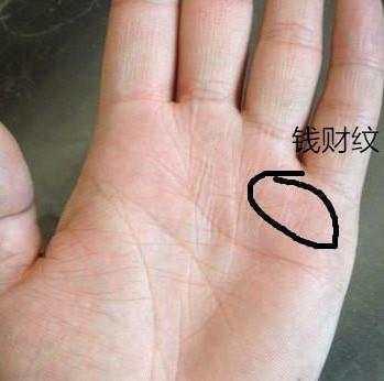 手掌中钱财纹多则代表着钱财较多,生活上也富有,收入比较高,常常是多