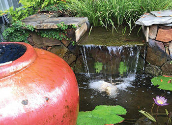 沼泽过滤(bog filter):一种原生态水处理技术