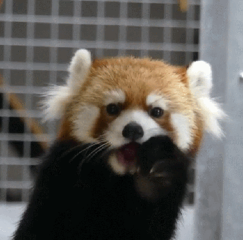 350_346gif 动态图 动图