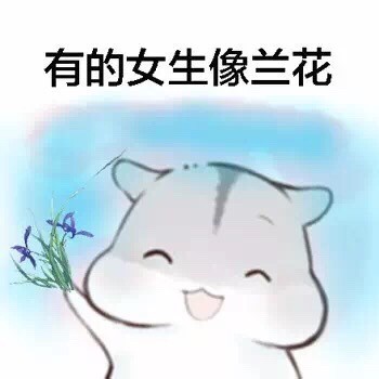 有的女生像白莲花仓鼠表情包