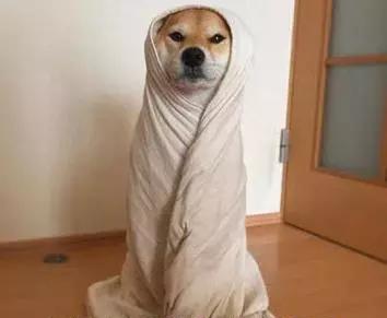 突然冷成狗今起气温狂降成都秒入冬更可怕的是