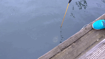 三星S9+与iPhoneX防水测试:看看哪台手机更防水