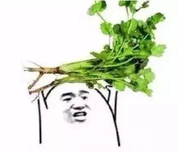 为啥有人讨厌香菜,有人特爱吃?